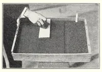 An illustration from Elementary Science by Grades Book Four: A Nature Study and Science Reader (1929)