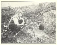 Picture 13 of 13 from Elementary Science by Grades Book Four: A Nature Study and Science Reader (1929), leaf 289