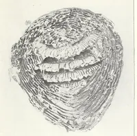 Picture 2 of 13 from Elementary Science by Grades Book Four: A Nature Study and Science Reader (1929), leaf 41