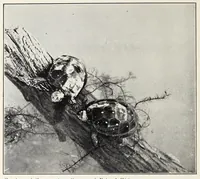 Picture 3 of 13 from Elementary Science by Grades Book Four: A Nature Study and Science Reader (1929), leaf 66