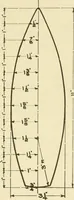 An illustration from Elementary sloyd and whittling (1906)
