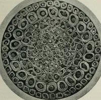 An illustration from Elementary telegraphy : a manual for students; written specially to meet the requirements of the ordinary grade of the subject as published in the syllabus of the city and guilds of London Institute (1910)