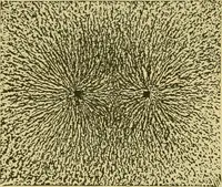 An illustration from Elementary treatise on electricity and magnetism : (1905)