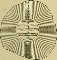 An illustration from Elementary treatise on electricity and magnetism : (1905)