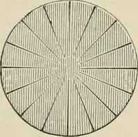 An illustration from Elementary treatise on electricity and magnetism : founded on Joubert's "Traité élémentaire d'électricité" (1909)