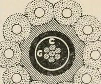Picture 174 of 184 from Elementary treatise on electricity and magnetism : founded on Joubert's "Traité élémentaire d'électricité" (1909), leaf 592