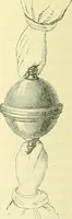 An illustration from Elementary treatise on physics experimental and applied for the use of colleges and schools (1890)