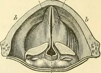 An illustration from Elementary treatise on physics experimental and applied for the use of colleges and schools (1890)