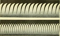 An illustration from Elementary treatise on physics experimental and applied for the use of colleges and schools (1890)