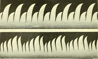 An illustration from Elementary treatise on physics experimental and applied for the use of colleges and schools (1890)