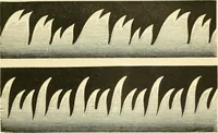 An illustration from Elementary treatise on physics experimental and applied for the use of colleges and schools (1890)