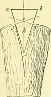 An illustration from Elementary treatise on physics experimental and applied for the use of colleges and schools (1890)