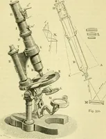 An illustration from Elementary treatise on physics experimental and applied for the use of colleges and schools (1890)