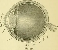An illustration from Elementary treatise on physics experimental and applied for the use of colleges and schools (1890)