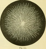 An illustration from Elementary treatise on physics experimental and applied for the use of colleges and schools (1890)