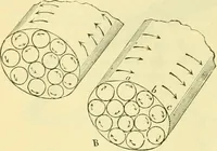 An illustration from Elementary treatise on physics experimental and applied for the use of colleges and schools (1890)
