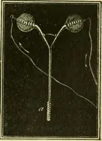 An illustration from Elementary treatise on physics experimental and applied for the use of colleges and schools (1890)
