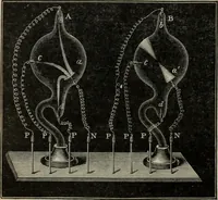 An illustration from Elementary treatise on physics, experimental and applied : for the use of colleges and schools (1906)