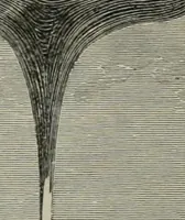 An illustration from Elementary treatise on physics, experimental and applied : for the use of colleges and schools (1906)