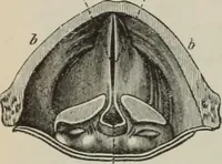 An illustration from Elementary treatise on physics, experimental and applied : for the use of colleges and schools (1906)