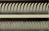 An illustration from Elementary treatise on physics, experimental and applied : for the use of colleges and schools (1906)