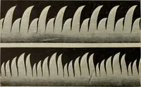 An illustration from Elementary treatise on physics, experimental and applied : for the use of colleges and schools (1906)