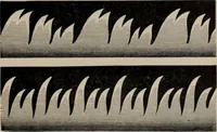 An illustration from Elementary treatise on physics, experimental and applied : for the use of colleges and schools (1906)