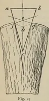 Picture 9 of 613 from Elementary treatise on physics, experimental and applied : for the use of colleges and schools (1906), leaf 50