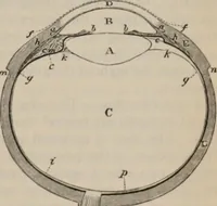 Picture 362 of 613 from Elementary treatise on physics, experimental and applied : for the use of colleges and schools (1906), leaf 657
