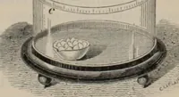 Picture 399 of 613 from Elementary treatise on physics, experimental and applied : for the use of colleges and schools (1906), leaf 787