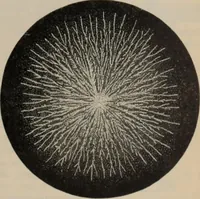 An illustration from Elementary treatise on physics, experimental and applied : for the use of colleges and schools (1906)