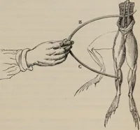 An illustration from Elementary treatise on physics, experimental and applied : for the use of colleges and schools (1906)