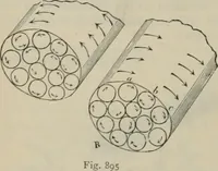 An illustration from Elementary treatise on physics, experimental and applied : for the use of colleges and schools (1906)