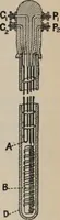 An illustration from Elementary treatise on physics, experimental and applied : for the use of colleges and schools (1906)