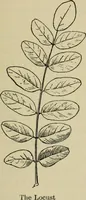 Picture 76 of 112 from Elementary woodworking (1903), leaf 100