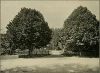 An illustration from Elementary woodworking (1903)