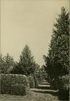 An illustration from Elementary woodworking (1903)