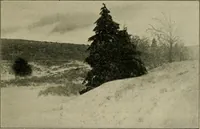 An illustration from Elementary woodworking (1903)