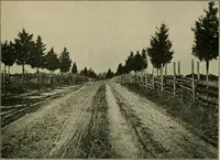 Picture 106 of 112 from Elementary woodworking (1903), leaf 130