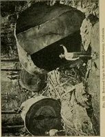 Picture 110 of 112 from Elementary woodworking (1903), leaf 135