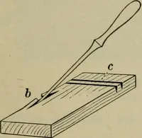 An illustration from Elementary woodworking (1903)