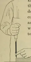 An illustration from Elementary woodworking (1903)