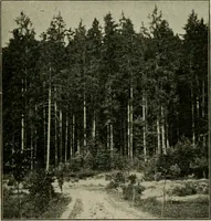 Picture 38 of 112 from Elementary woodworking (1903), leaf 60