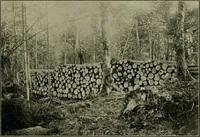 An illustration from Elementary woodworking (1903)