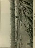 An illustration from Elementary woodworking (1903)