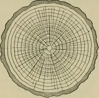 Picture 46 of 112 from Elementary woodworking (1903), leaf 68