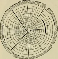 Picture 47 of 112 from Elementary woodworking (1903), leaf 69