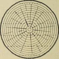 An illustration from Elementary woodworking (1903)