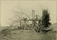 An illustration from Elementary woodworking (1903)