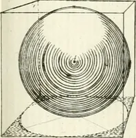An illustration from Elementi di prospettiva : per uso degli architetti, e pittori (1747)
